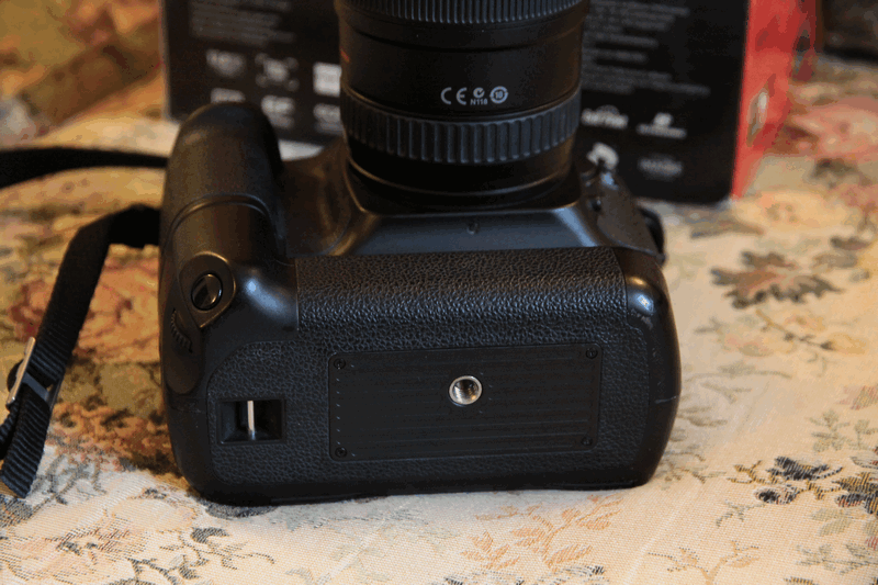 IMG_6707.gif