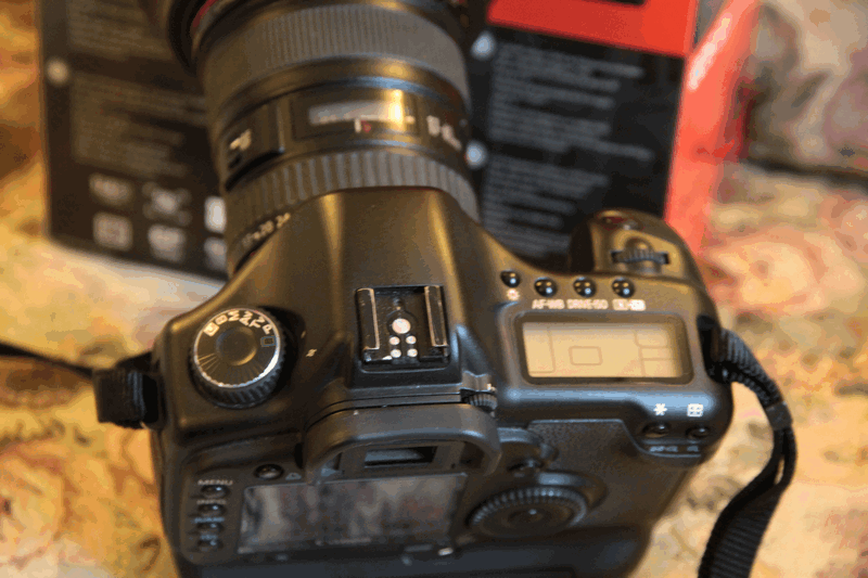 IMG_6708.gif