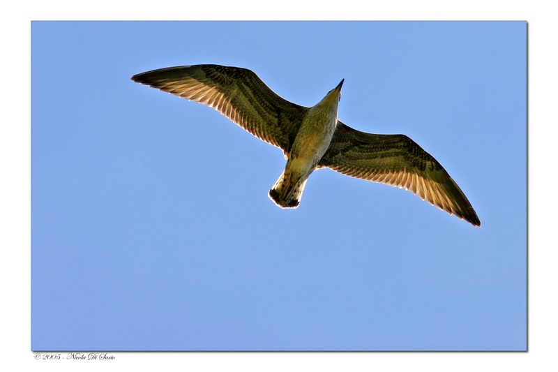 IMG_6837.jpg