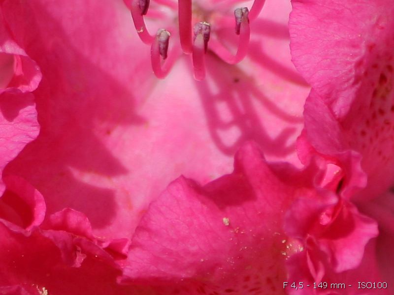 IMG_6926_tn-crop.jpg