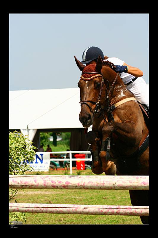 IMG_7305-copiapicc.jpg