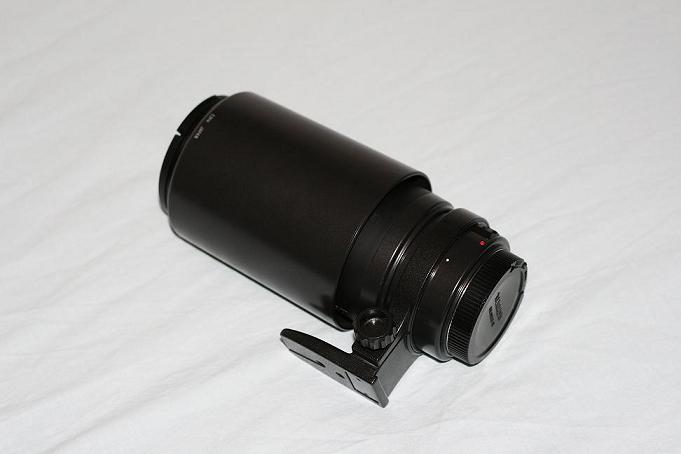 IMG_7456.JPG