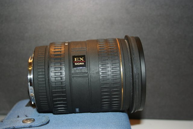 IMG_7479.JPG