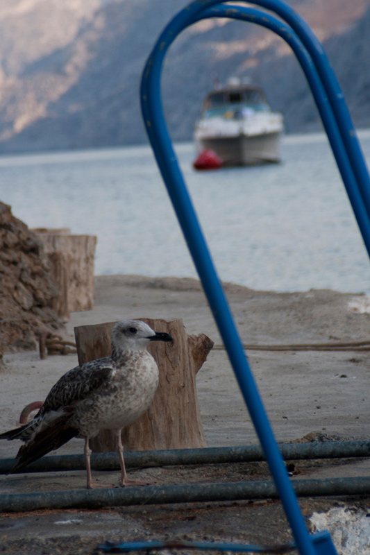 IMG_7539.jpg