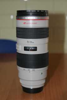 IMG_7550.JPG