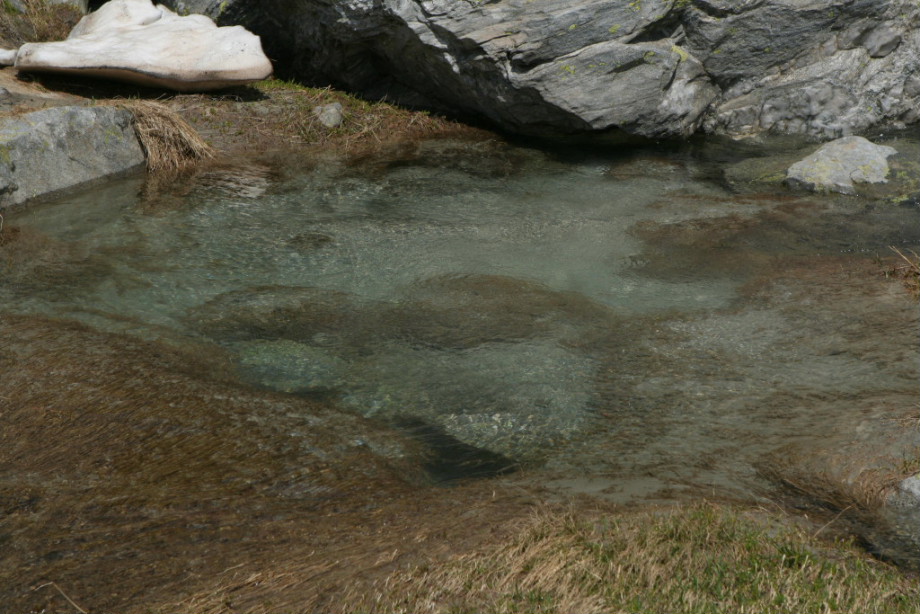 IMG_7610_r9.JPG