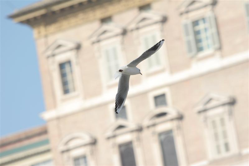 IMG_7664 (Medium).JPG