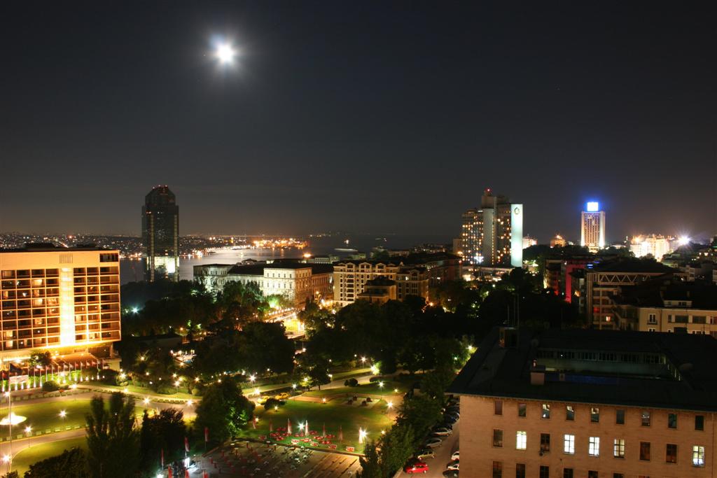 IMG_7925 (Large).JPG