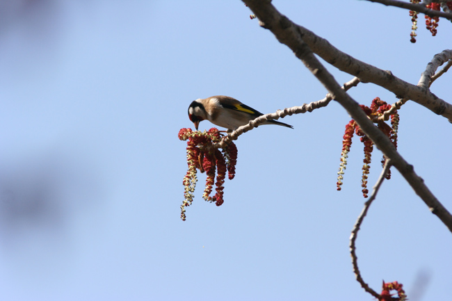 IMG_7982.jpg