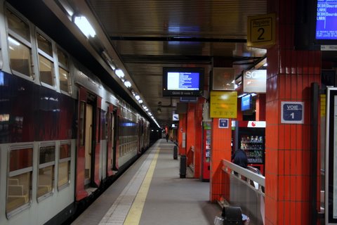 IMG_7998.JPG