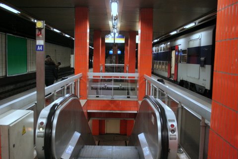 IMG_8001.JPG