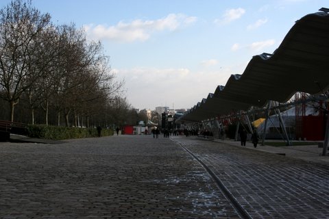 IMG_8118.JPG