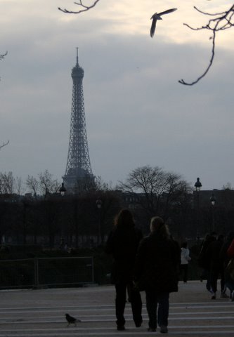 IMG_8132.JPG