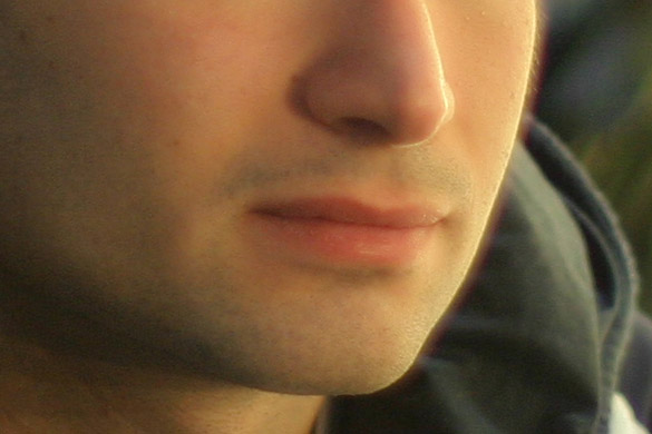 IMG_8186 crop.jpg
