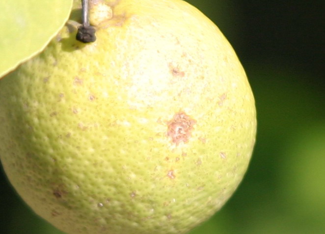 IMG_8213crop.jpg