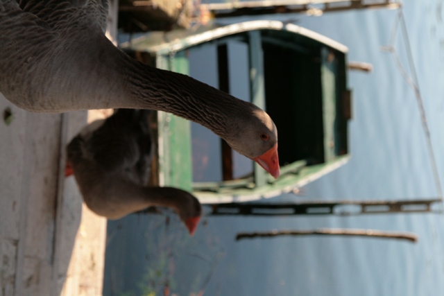 IMG_8357.JPG