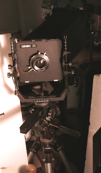IMG_83922.gif