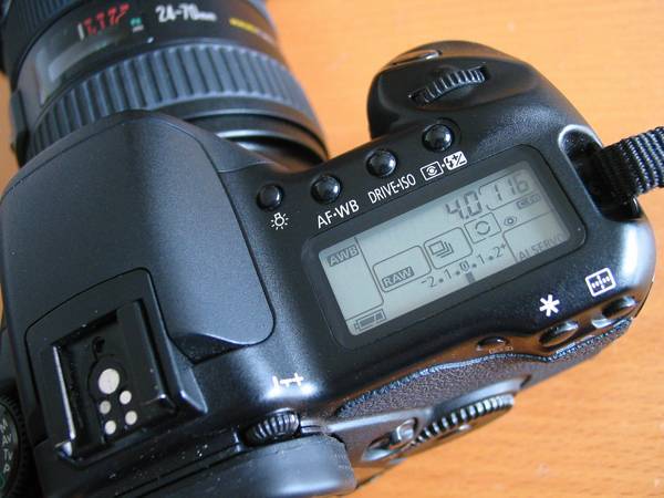IMG_8411.jpg