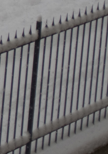 IMG_8470_crop_border2.jpg