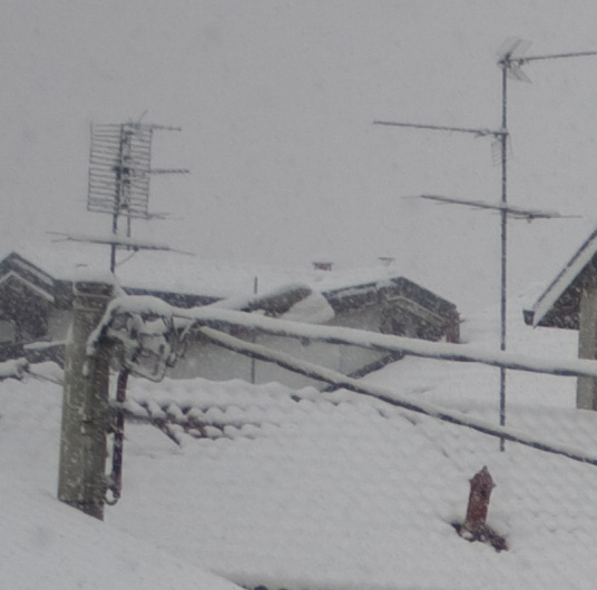 IMG_8470_crop_border3.jpg