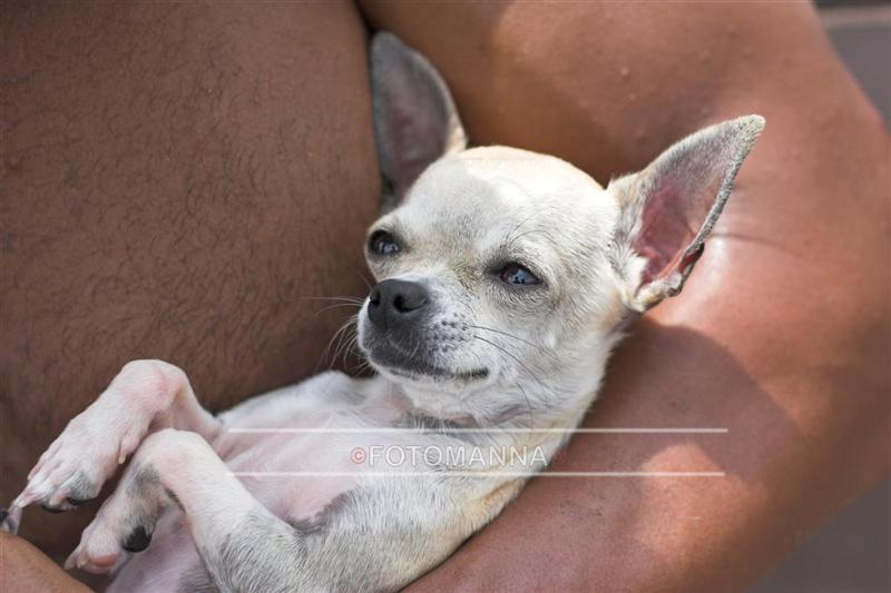 IMG_8520-01 (Large) copia (Medium).jpg