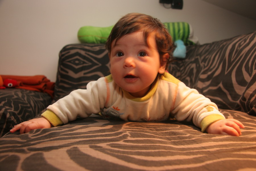 IMG_8558_resize.jpg