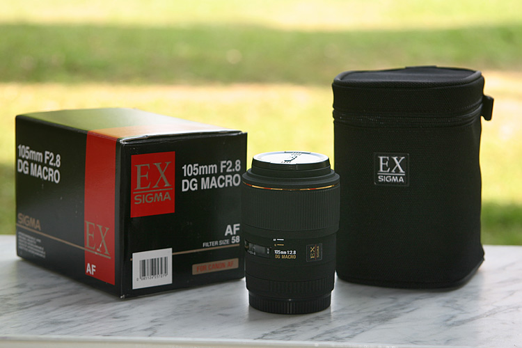 IMG_8671-web.jpg