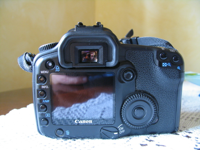 IMG_8736.jpg