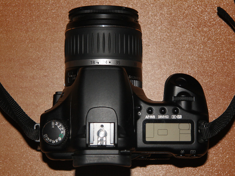 IMG_8958_web.jpg