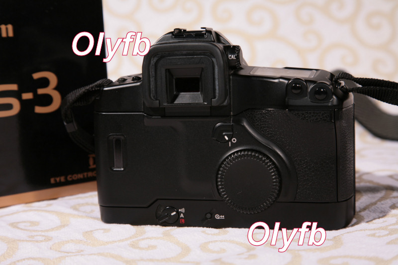 IMG_8971p.jpg