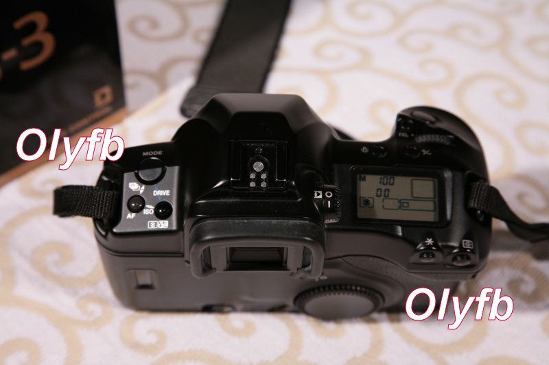 IMG_8974p.jpg