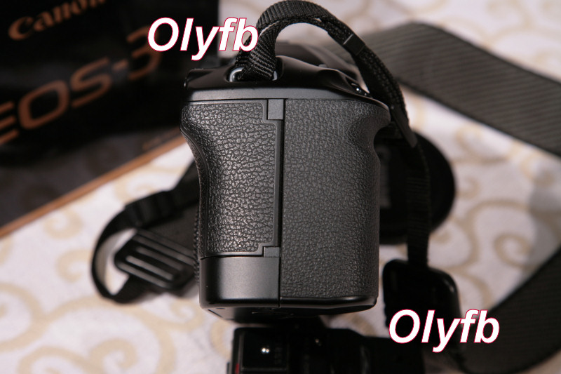 IMG_8977p.jpg