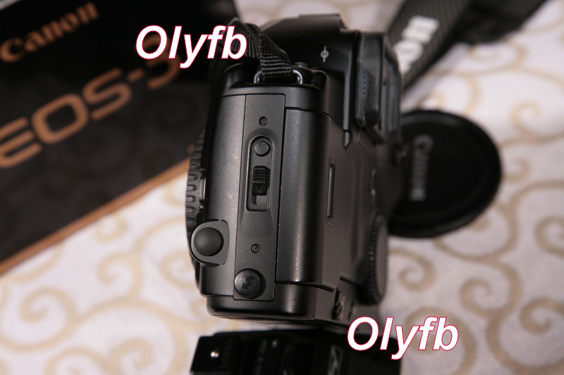 IMG_8979p.jpg