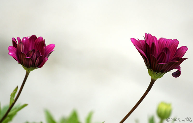 IMG_9279.jpg