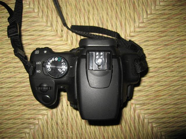 IMG_9591 (Small).JPG