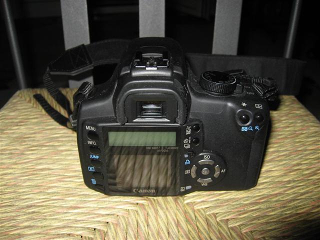 IMG_9592 (Small).JPG
