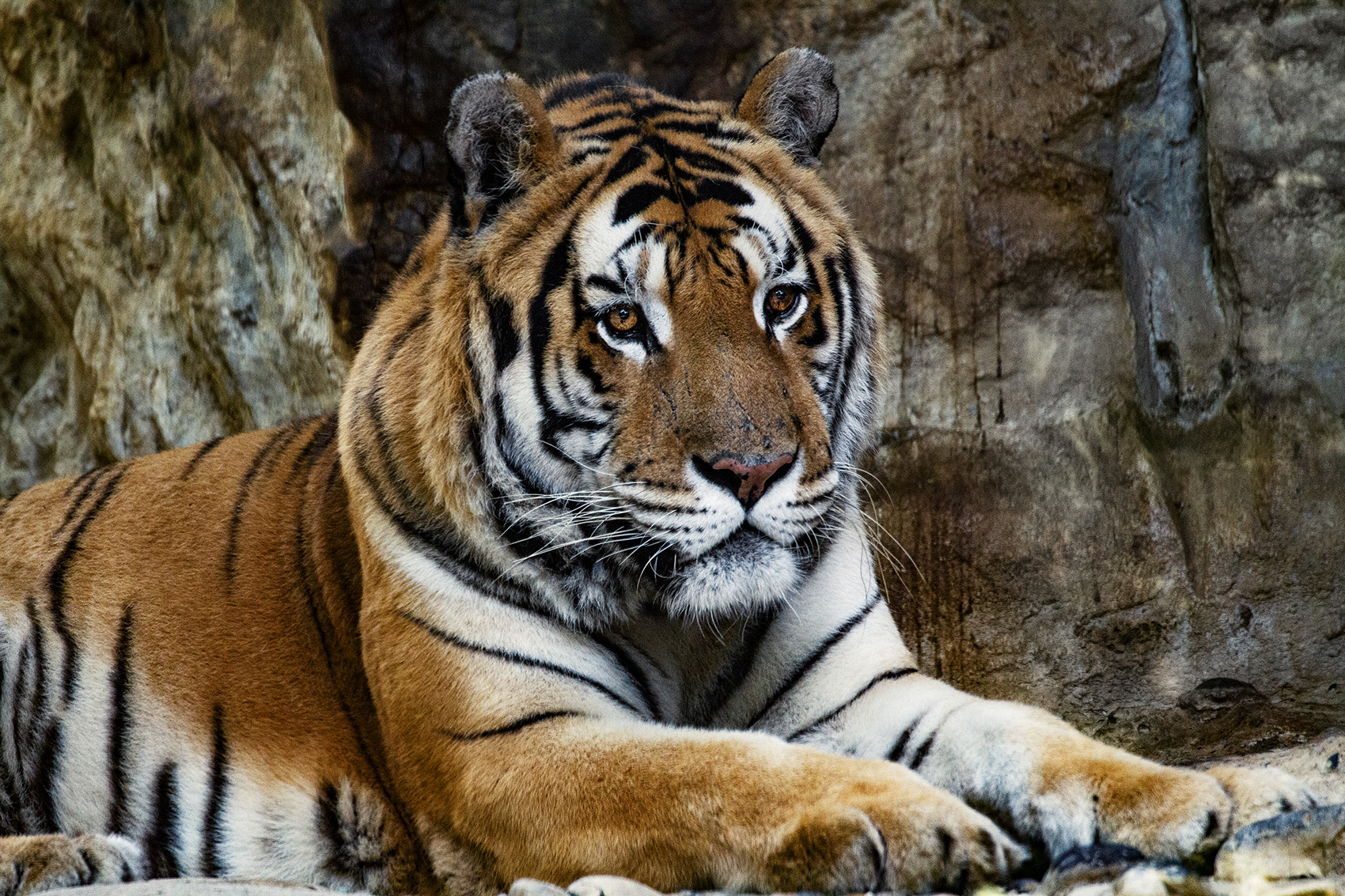 IMG_9600-colorexweb.jpg