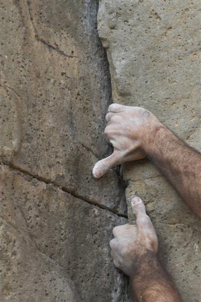 IMG_9612-02 (Medium).jpg