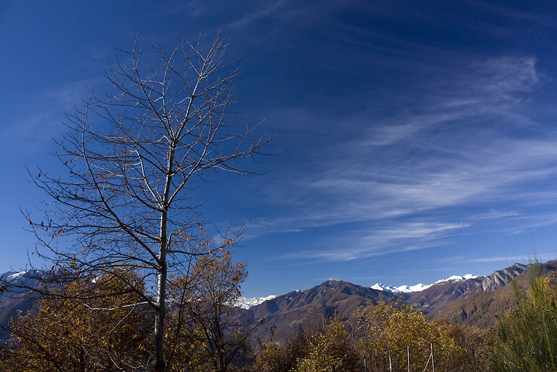 IMG_9671_rid2.jpg