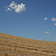 img_9853__medium__259_av2.jpg