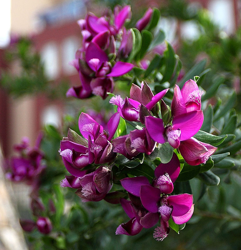 IMG_Crop2.jpg
