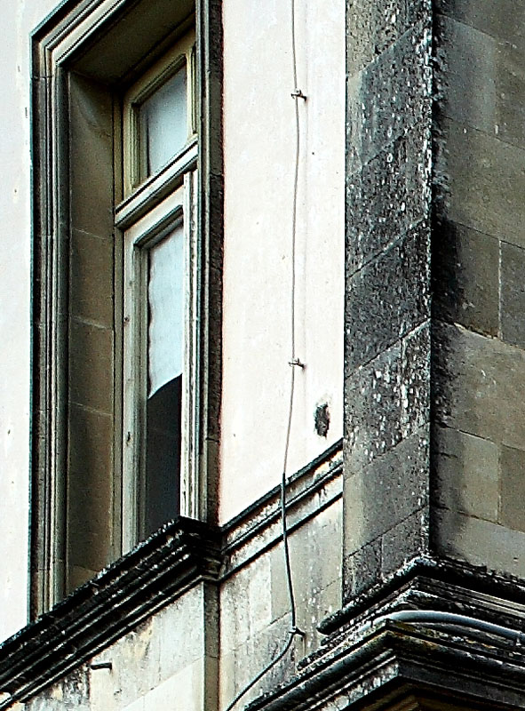 IMG_Crop.jpg