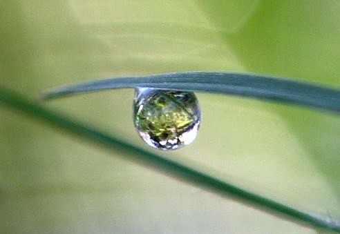 IMG_crop.jpg