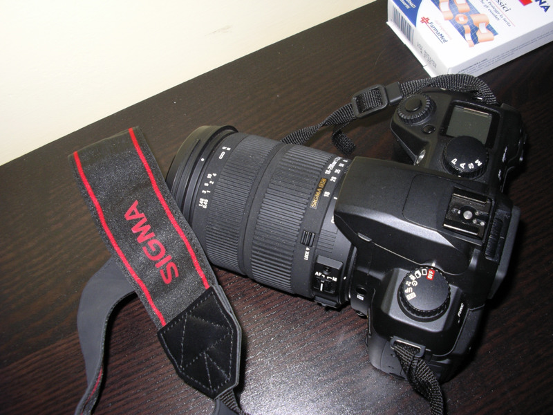 IMGP0006.JPG