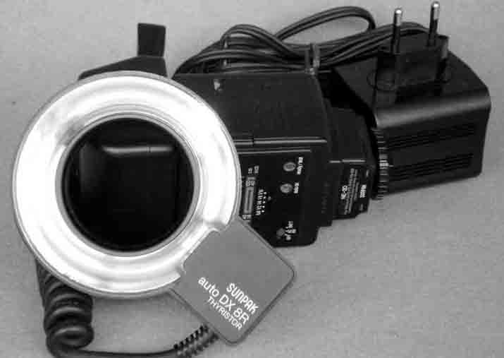 imgp0155_130[1].jpg