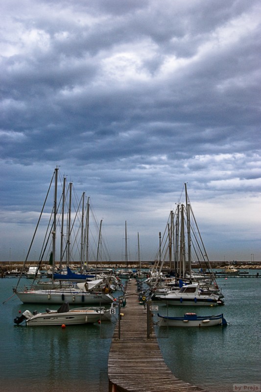 IMGP0209.jpg