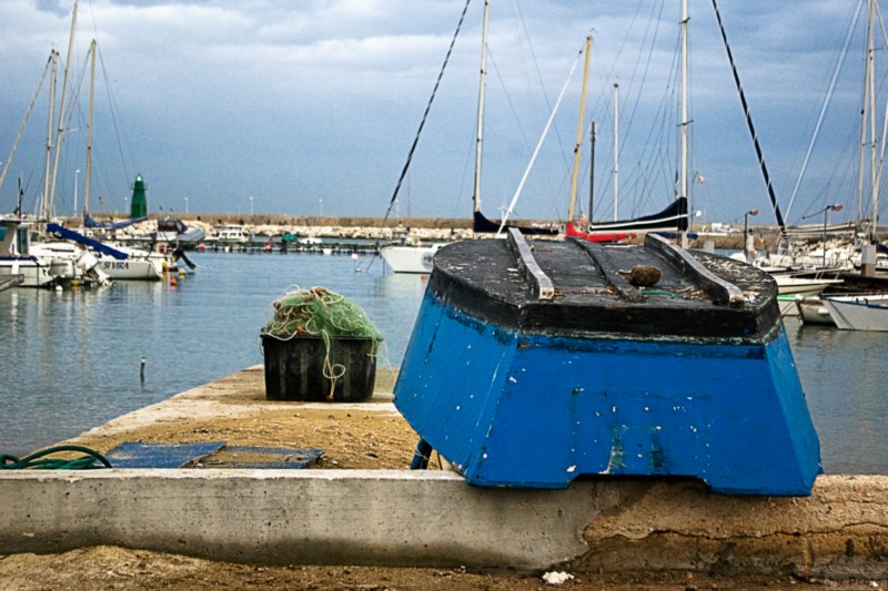IMGP0219.jpg