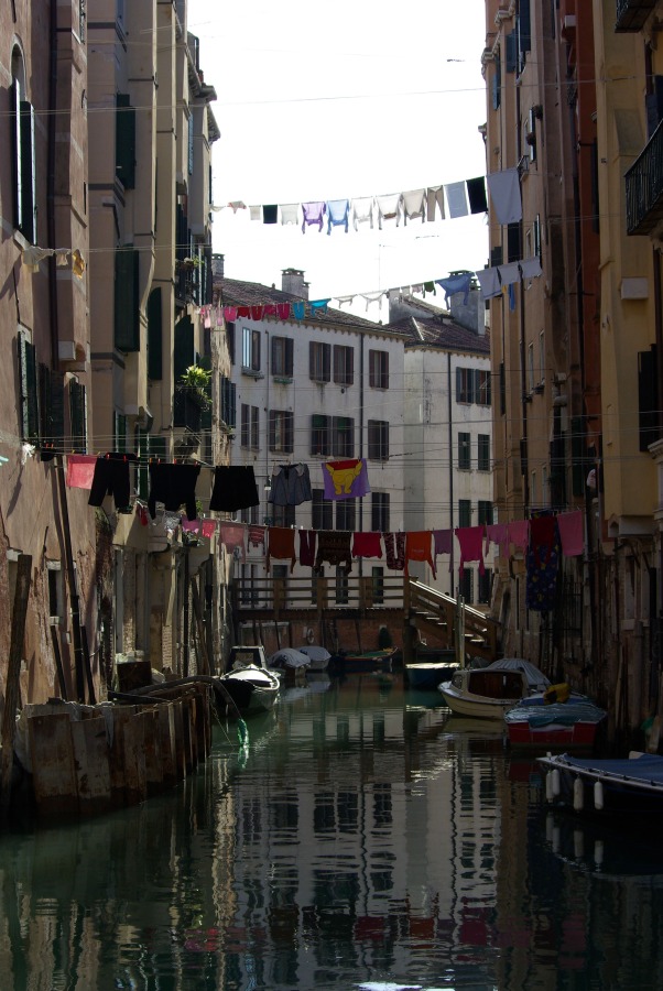IMGP03115.jpg