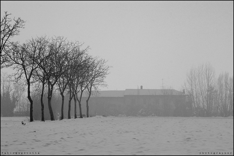 IMGP0366_web.jpg