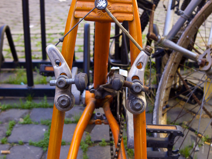 IMGP0367.jpg